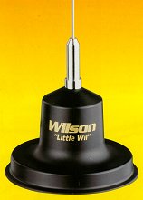 Wilson Kleine Wil