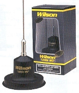 Wilson Kleine Wil